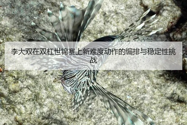 李大双在双杠世锦赛上新难度动作的编排与稳定性挑战