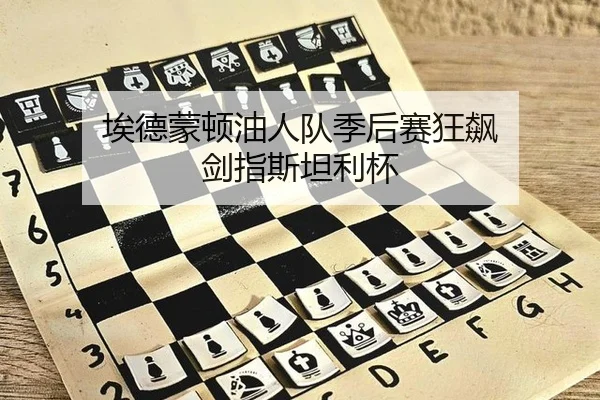 埃德蒙顿油人队季后赛狂飙 剑指斯坦利杯