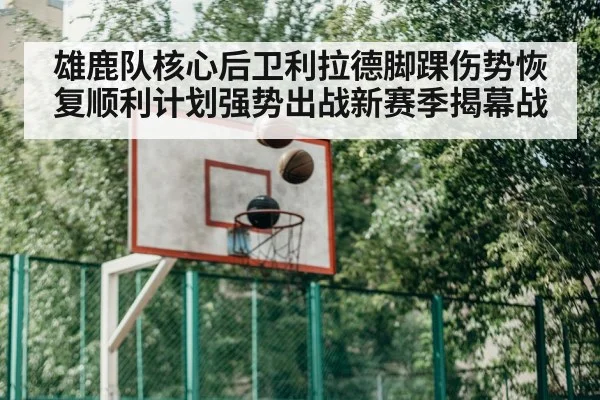 雄鹿队核心后卫利拉德脚踝伤势恢复顺利计划强势出战新赛季揭幕战