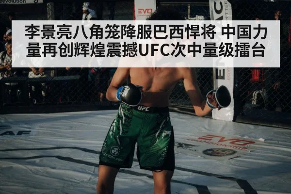 李景亮八角笼降服巴西悍将 中国力量再创辉煌震撼UFC次中量级擂台