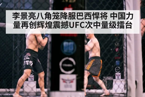 MMA cage fight